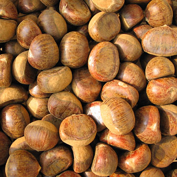  Chestnuts (Châtaignes et marrons)