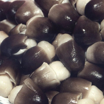  Straw Mushroom ( Straw Mushroom)