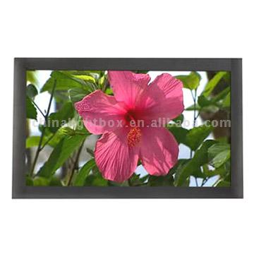  32 Inch LCD Digital Poster (32-дюймовый ЖК-цифровой плаката)