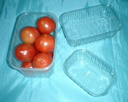  Food Tray and Container (Essen Fach-und Container -)