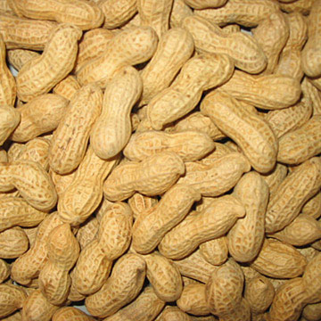  Peanuts Inshell ( Peanuts Inshell)