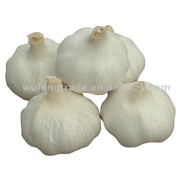  Garlic (Ail)