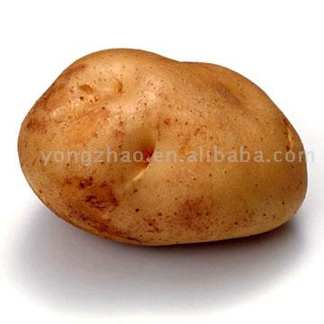  Potato (Картофель)