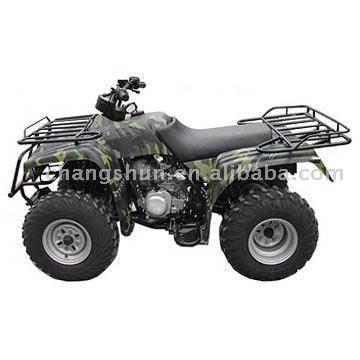 All Terrain Vehicle (All Terrain Vehicle)