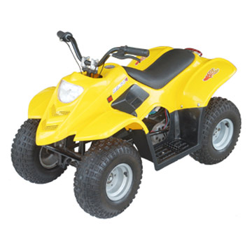  Electric ATV ( Electric ATV)