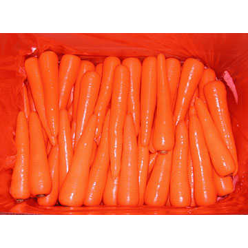  Small Fresh Carrots ( Small Fresh Carrots)