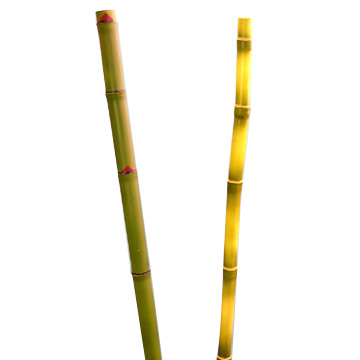  Artificial Bamboo (Искусственный Бамбук)