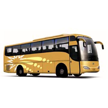  Medium Size Company/School Bus (Средний размер компании / школьный автобус)