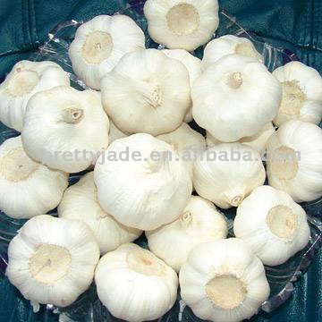  Fresh Garlic (Свежий чеснок)