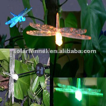  Solar Dragonfly ( Solar Dragonfly)