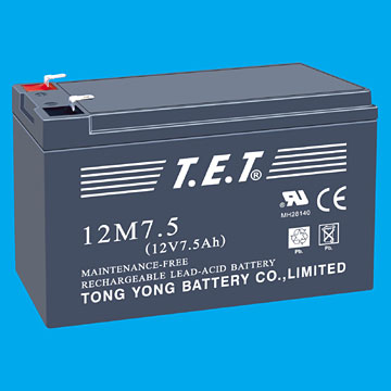  Sealed Lead-Acid Battery (Герметичный свинцово-кислотный аккумулятор)