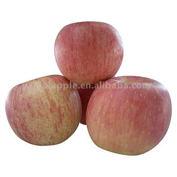  Red Fuji Apples (Красная Фудзи яблоки)