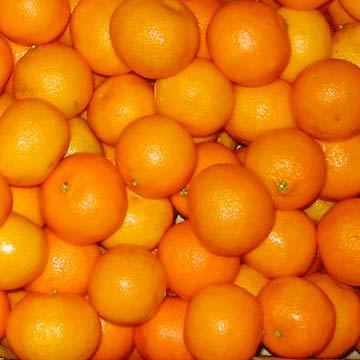  Fresh Mandarin Orange (Lokam) (Fresh Mandarin Orange (Lokam))