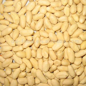  Blanched Kernels (Long Type) ( Blanched Kernels (Long Type))