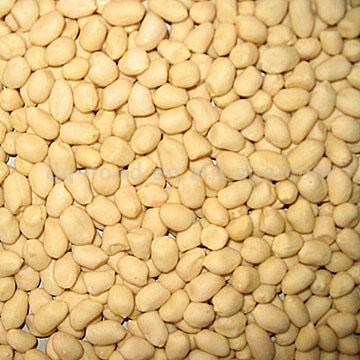  Blanched Kernels (Round Type) (Бланшированные ядра (круглого типа))