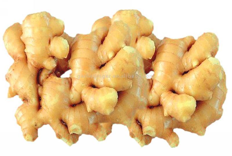  Fresh Ginger (Свежий имбирь)