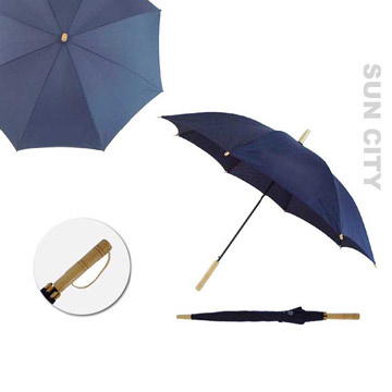  Promotional Umbrellas (Parapluies promotionnels)