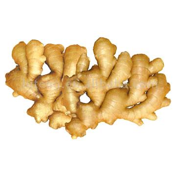  Chinese Fresh And Airdry Ginger (Frais chinois Et Airdry Ginger)