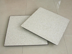  Anti-Static Raised Access Flooring