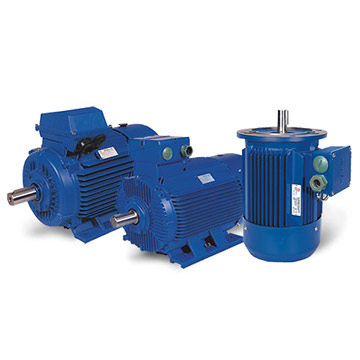  Y2,CDF,SDF Series Induction Motors (Y2, CDF, SDF Série Induction Motors)