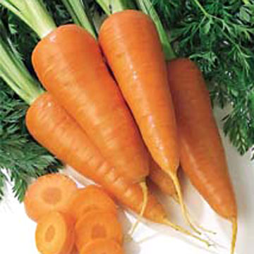  Carrots (Морковь)