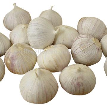  Single Bulb Garlic (Лампочка Чеснок)