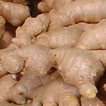  Air Dried Ginger (Air getrockneter Ingwer)