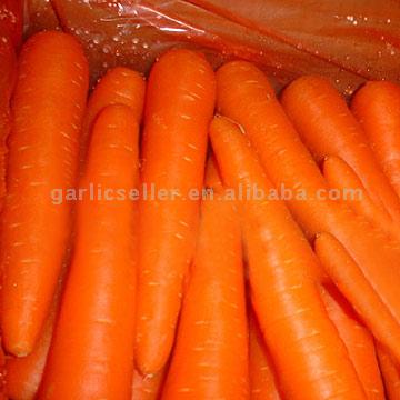  Chinese Fresh Carrots (Chinesisch frische Karotten)