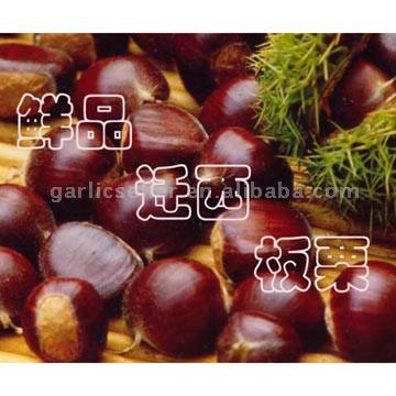  Fresh Chestnut (Свежий каштановый)