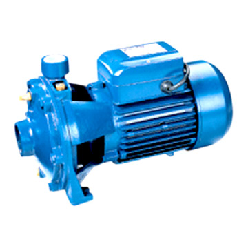  Water Pump ( Water Pump)