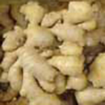  Fresh Ginger (Свежий имбирь)