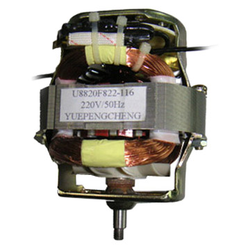  AC Motor ( AC Motor)