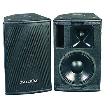  2-Way Professional Speaker (2-полосная профессионального спикера)