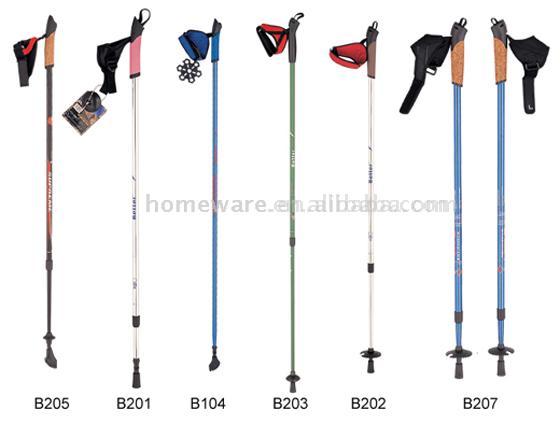  Walking Stick ( Walking Stick)