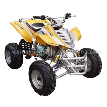  250CC ATV (Water Cooling and Bigger Tire) (250CC ATV (eau de refroidissement et de pneus plus gros))