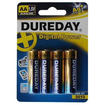  Alkaline Batteries (Piles alcalines)