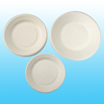  Paper Plate (Assiettes en carton)