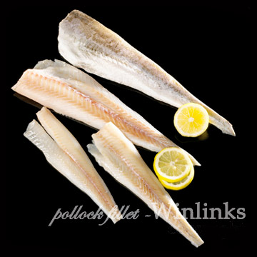  Frozen Alaskan Pollock Fillets