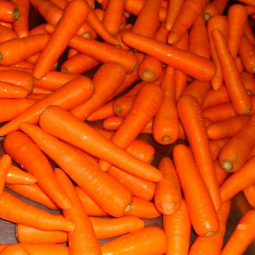  Carrots