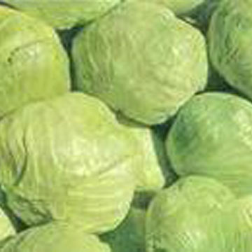  Cabbages (Капуста)