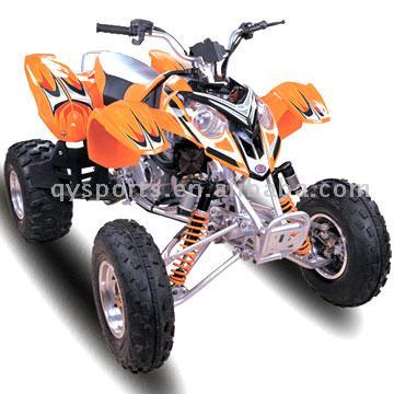  ATV 300cc ( ATV 300cc)