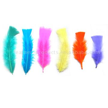  Dyed Feathers ( Dyed Feathers)