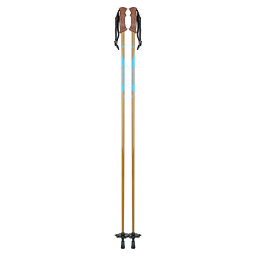  Ski Poles (XD1-2)