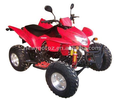  250cc ATV with EEC Homologated (ATV 250cc avec la CEE Homologation)