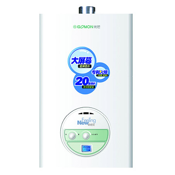  Gas Water Heater (Газ водонагревателя)