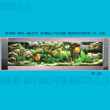  Wall-Mounted Aquarium (Aquarium mural)