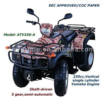 250cc EWG ATV (250cc EWG ATV)