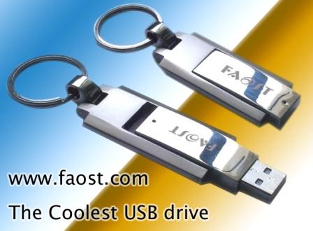  USB Flash Drive ( USB Flash Drive)