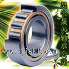  Cylindrical Roller Bearing (Zylinderrollenlager)