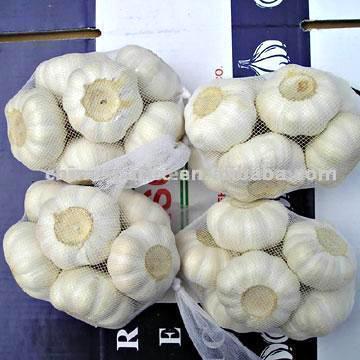 Chinese Garlics (Chinesisch Knoblauchzehen)